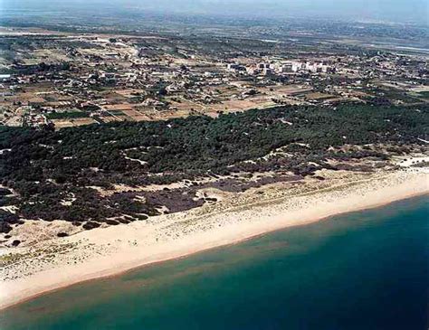 La Marina Beach Elche